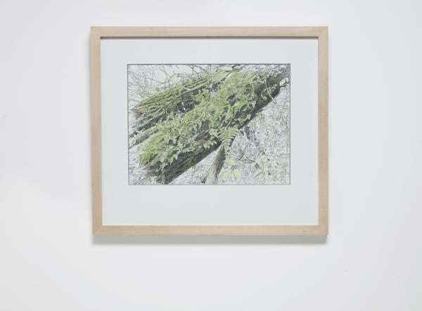 Lr Yeoworkshop 23012015 48854 Copy