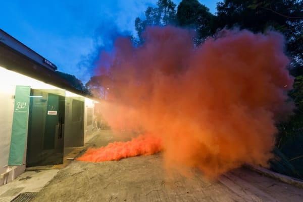 10 Intervention By Marcin Dudek