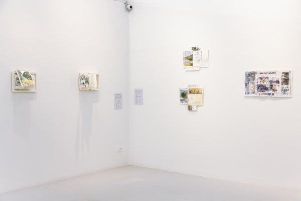 Img 2583 Enhanced Nr 5