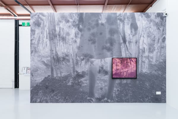 Wei Leng Tay: View From This Side