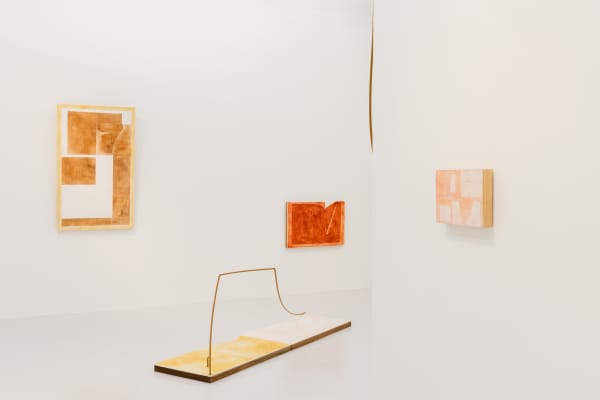 Entangled Attachments A Solo Exhibition by Aki Hassan