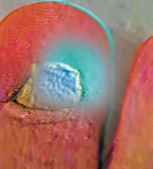 Marcin Dudek, Paluch, 2023, digital video, color, sound, 5 minutes 3 seconds. From NEOPLAN, 2023.