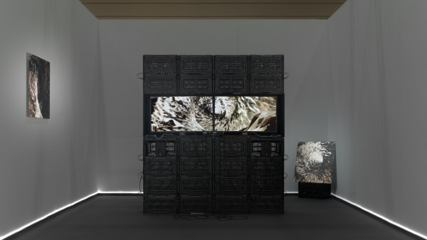 Priyageetha Dia, TURBINE TROPICS, exhibition view, Frieze Seoul 2023, Seoul, Korea, 2023. Courtesy of Jonathan Tan for Yeo Workshop