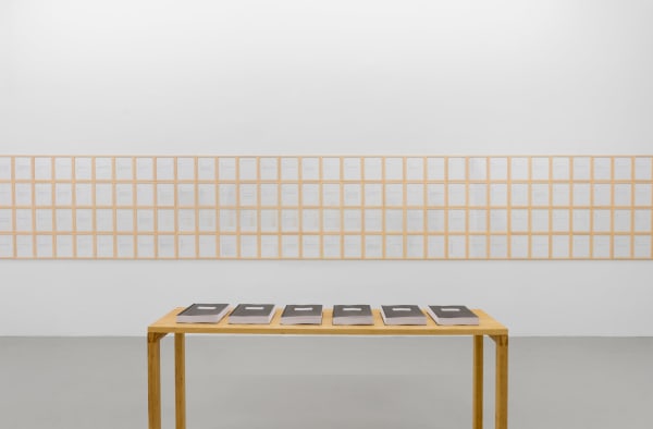 Cole Sternberg, a forest of thoughts in quick succession, 2023, installation view