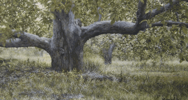 Elaine Goble - The Apple Orchard, 2016