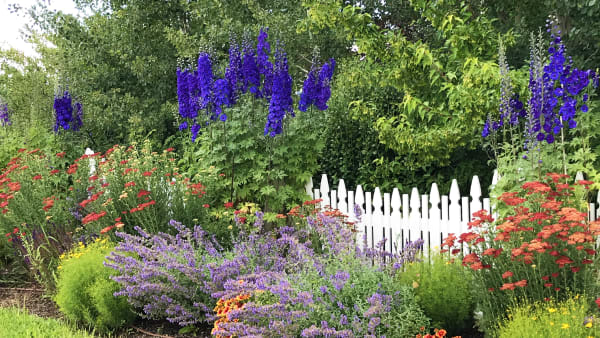 NATALIE CLARK'S TETONIA STUDIO