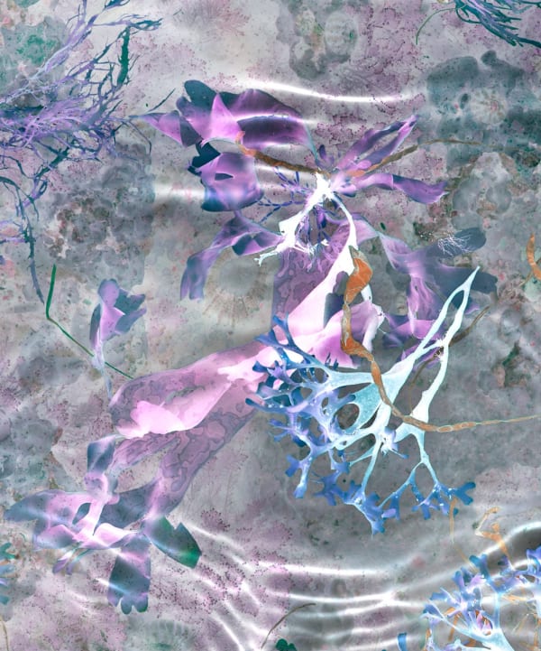 Ocean Flower 2, 2019