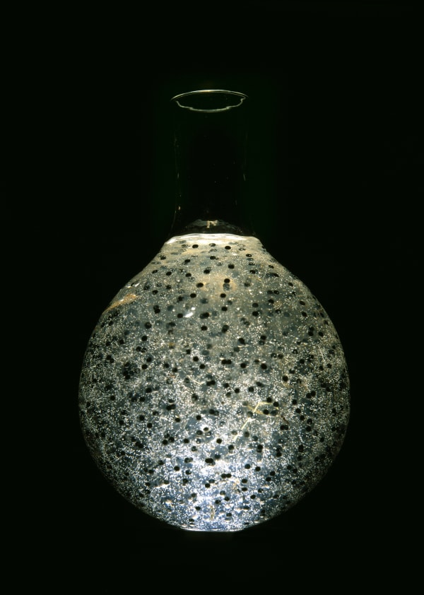 Natural Magic, Vessel 2, 2001