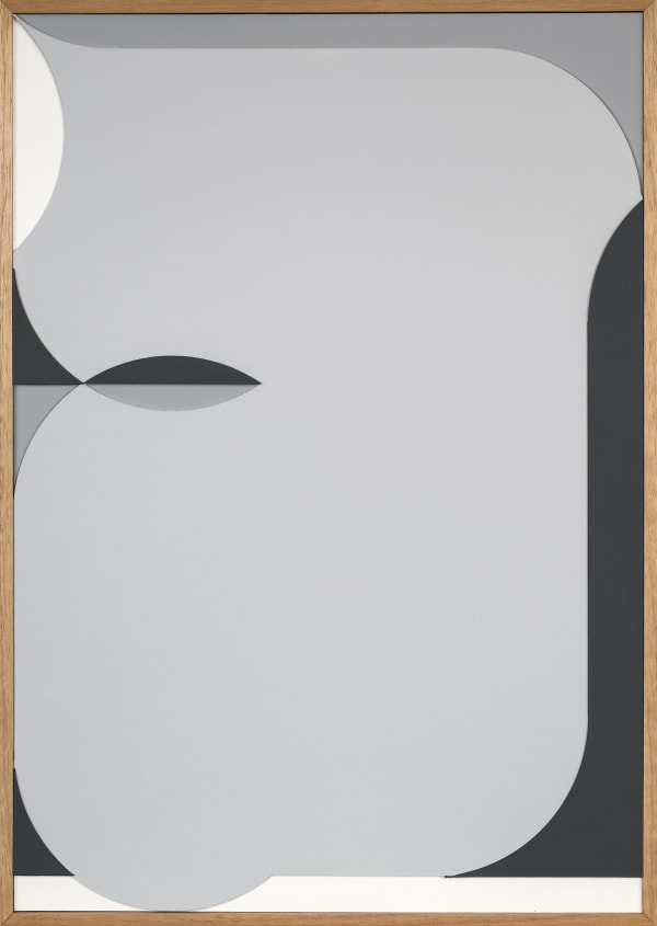 Felipe Cohen, Relevo #8, da série Pálpebras, 2024