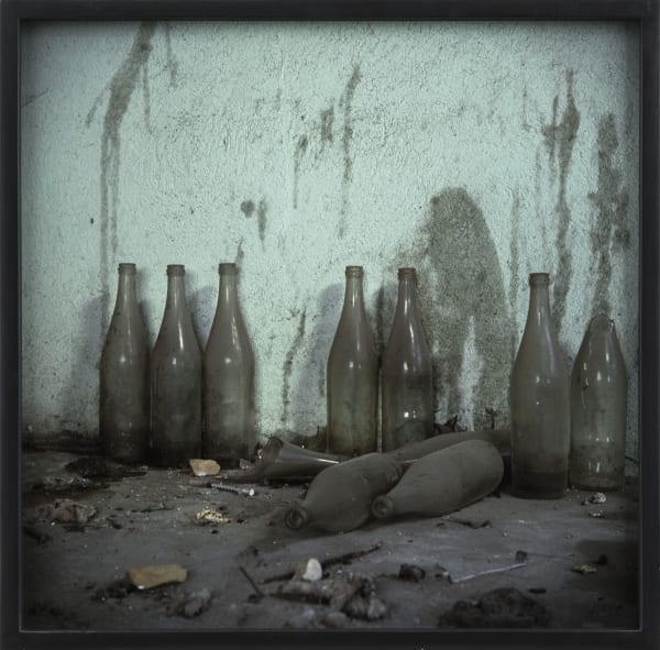 Miguel Rio Branco, Morandi perverso, 1993/2013