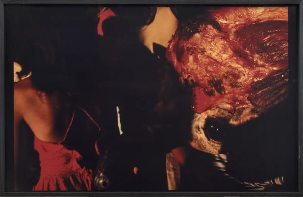 Miguel Rio Branco, Belle la Bête, n.d.