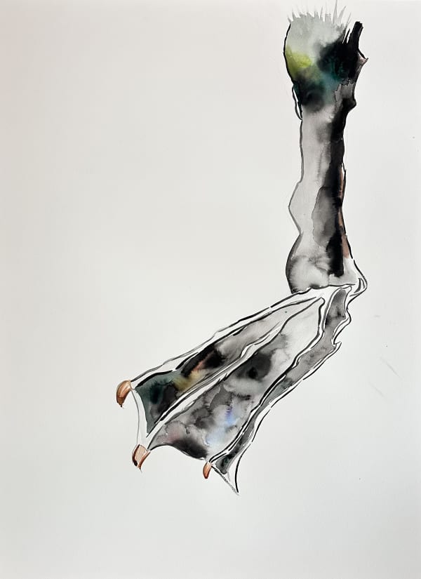 A Swan's Passage , 2025