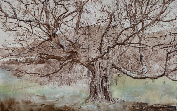 Mary Anne Aytoun Ellis, Ullswater Silver Birch