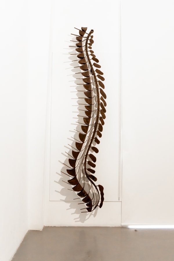 Shambhavi, Reerdha (Spinal Cord), 2018
