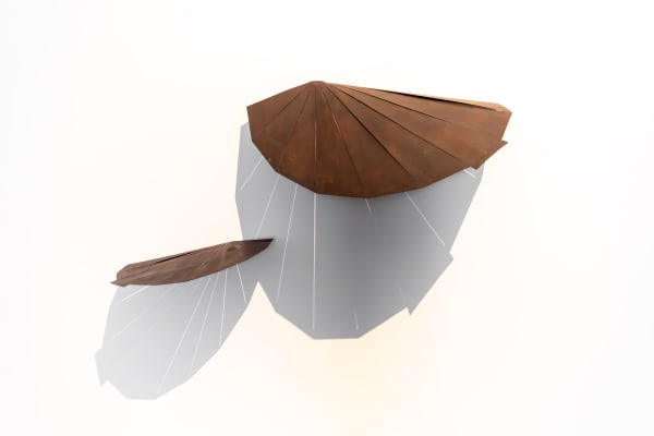 Shambhavi, Tard Ka Patta (Fallen Palm Leaf), 2023