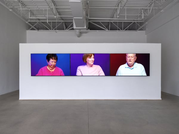 installation view of Eileen Maxson's show Parent trap, three screens mounted on a wall