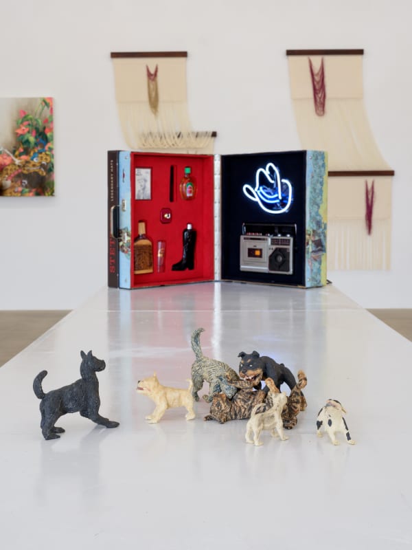 installation view of Terrenos