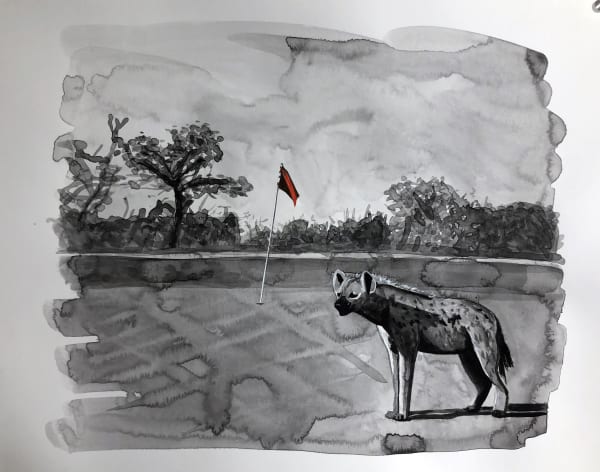 a hyena standing on a golf course
