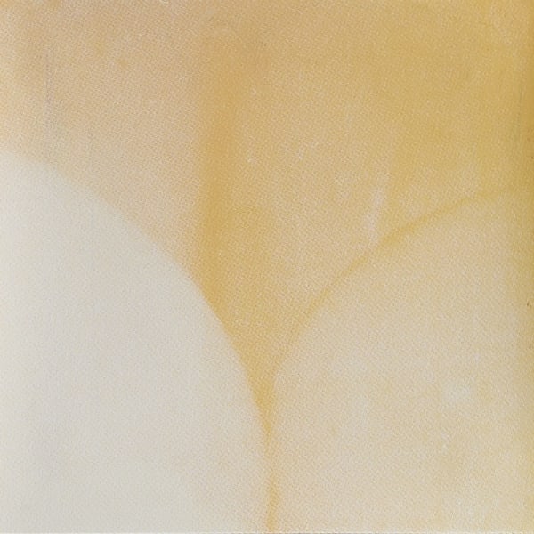 silkscreen image of a set of knees