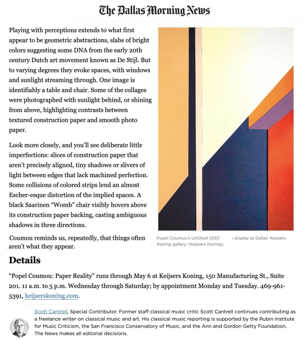 article view of the Dallas Morning News