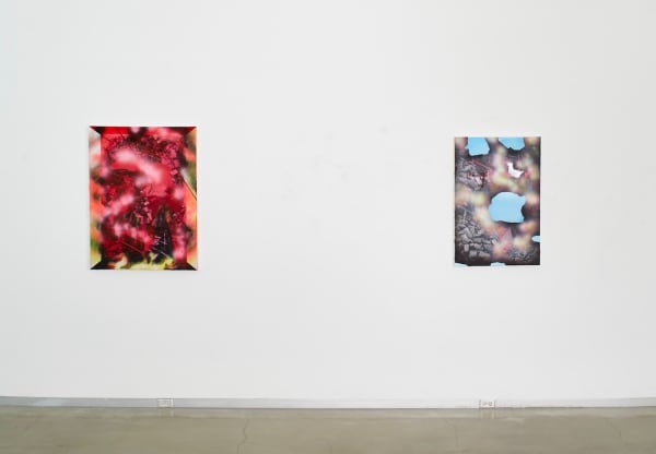 installation view of Shifting Grounds