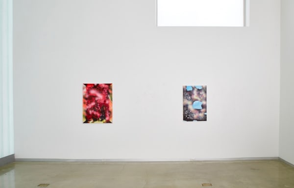 installation view of Shifting Grounds