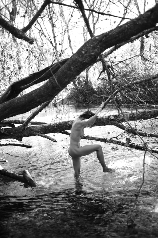 Mark de Paola, Plate LIII, 2022