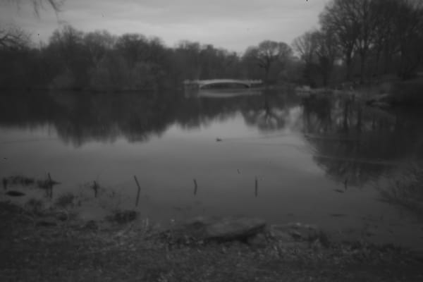 Mark de Paola, Central Park Pinhole, 2020