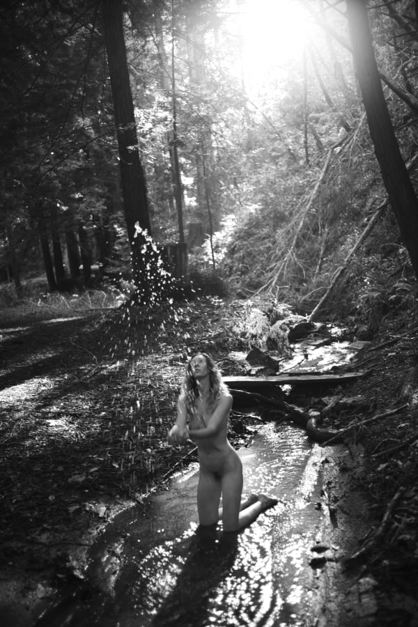 Mark de Paola, Plate LIIX, 2022