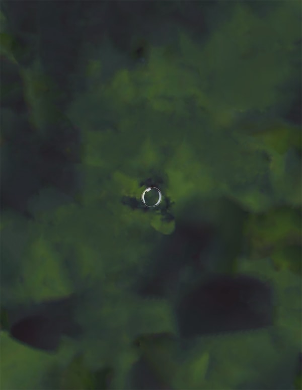 5 Shows by Emerging Artists to See in NYC Before Mercury Is Out of Retrograde