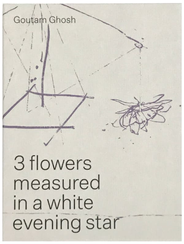 3 Flowers measured in a white evening star