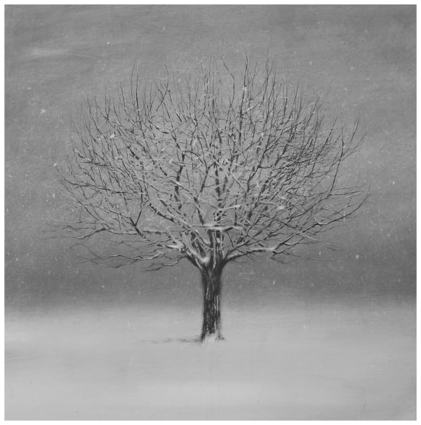 Danja Akulin | Between the Light