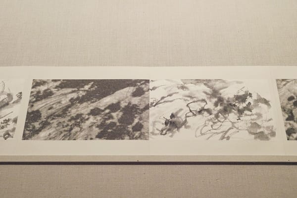 Some of the albums display on the MET