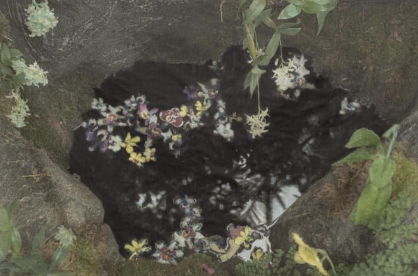 A pool with flowers and trees reflected on its surface, a green