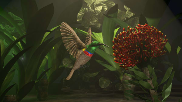 Rowan Thompson, Sunbird, 2021