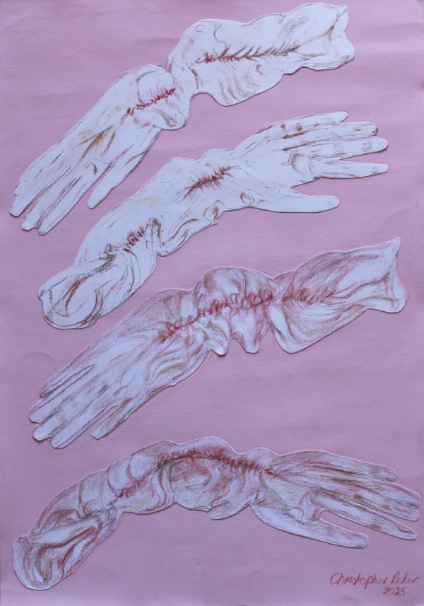 Christopher Peter, Gloves Off, 2025