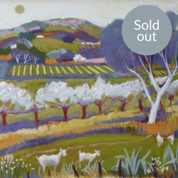 Sue Campion RBA