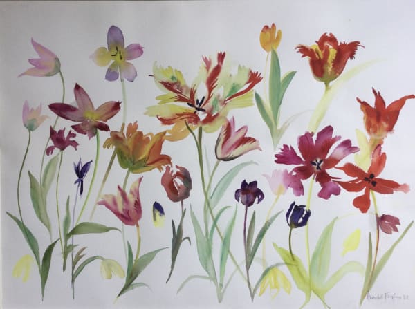 Annabel Fairfax, Tulips