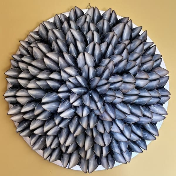 Annabel Jolly, Sunflower