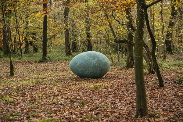 Felicia Fletcher, Egg