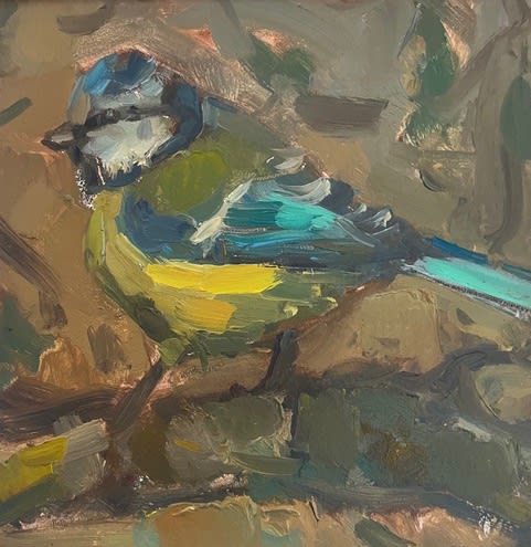 Andrew Farmer ROI, Blue Tit