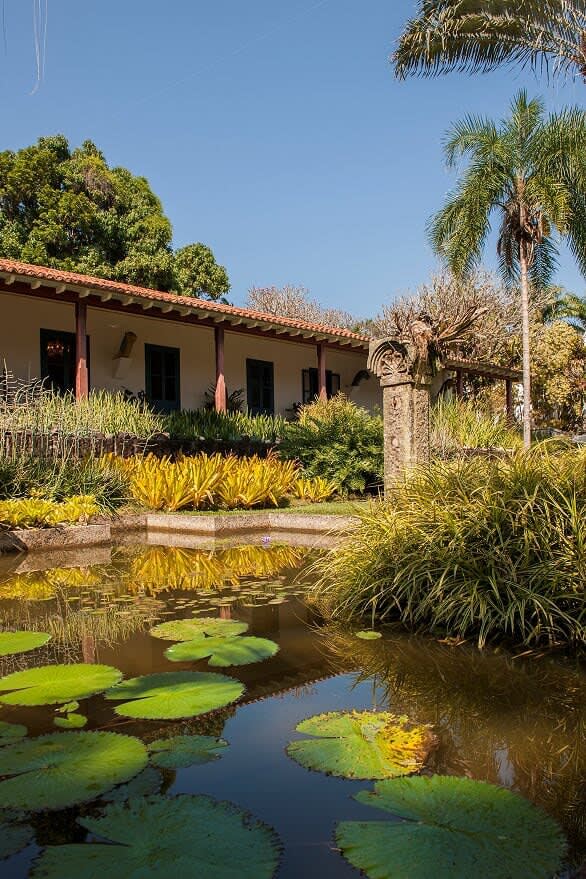 71642282 2530539570342396 743176625226514432 N