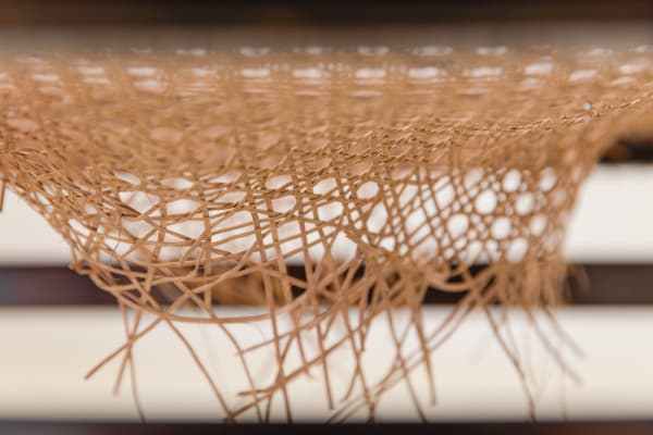 210122 Bossa Ph Ana Pigosso 13 Lw