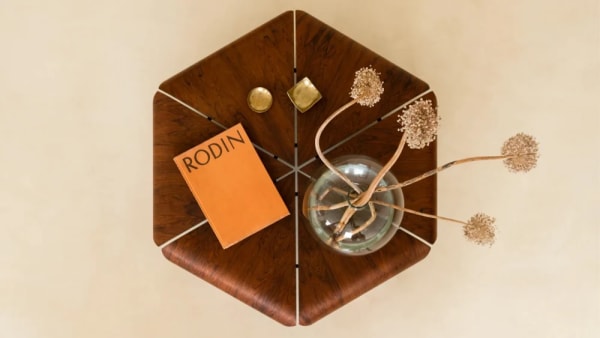 JORGE ZALSZUPIN: notes about the master's viewing room