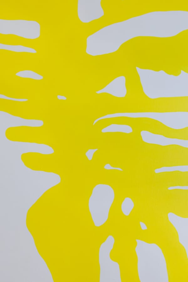 Federico Alvarado Zúniga