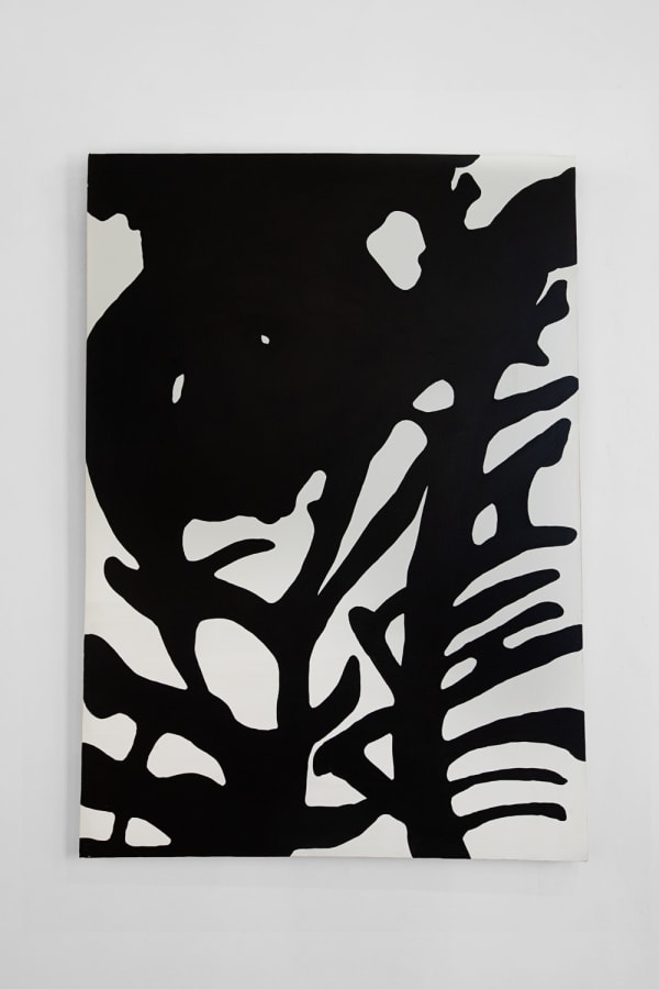 Federico Alvarado Zúniga, Costillas Negras, 2021