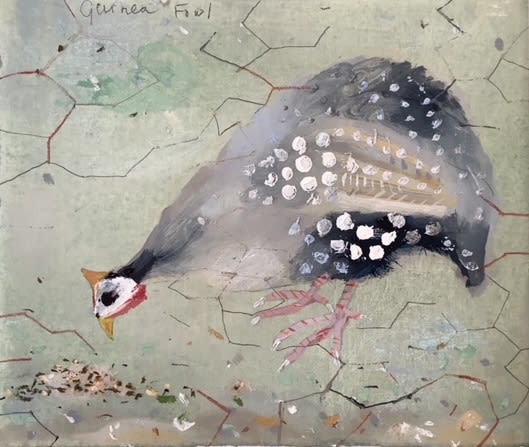 Clare Sprawson, Guinea Fowl