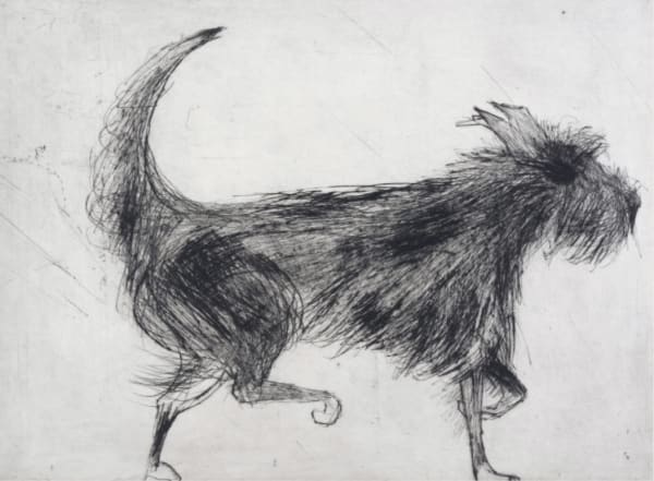 Kate Boxer, Figgy ed. 30