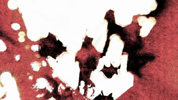 Mahziar Arjmandnia From the "Higgs Boson" series, 2018 New media 100 x 55 cm