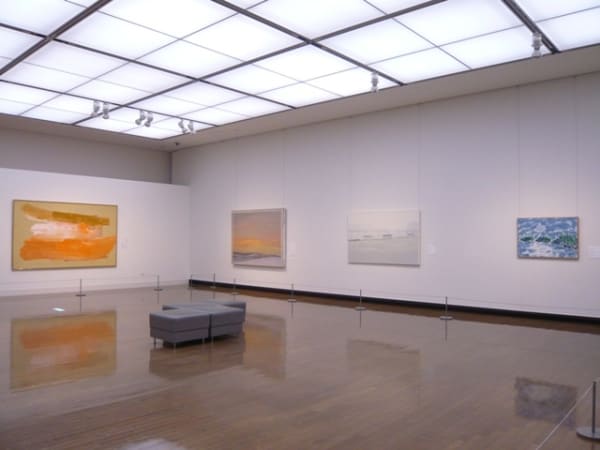 Soil Gallery Views 006S